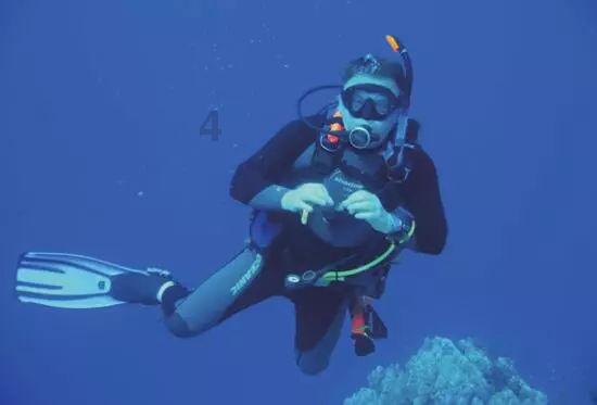 我家的咪咪被人打死了，还能报警吗？